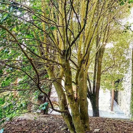 Сasa de vacaciones Casa Rosario Cortina